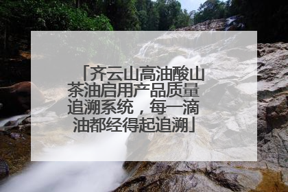 齐云山高油酸山茶油启用产品质量追溯系统，每一滴油都经得起追溯
