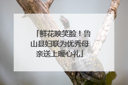 鲜花映笑脸！鲁山县妇联为优秀母亲送上暖心礼