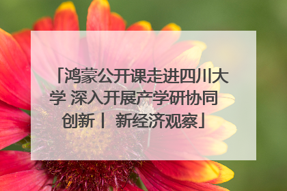 鸿蒙公开课走进四川大学 深入开展产学研协同创新丨 新经济观察