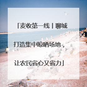 麦收第一线丨聊城打造集中晾晒场地，让农民省心又省力