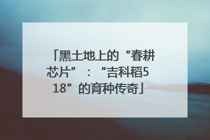 黑土地上的“春耕芯片”：“吉科稻518”的育种传奇