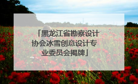 黑龙江省勘察设计协会冰雪创意设计专业委员会揭牌