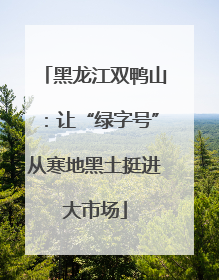 黑龙江双鸭山：让“绿字号”从寒地黑土挺进大市场