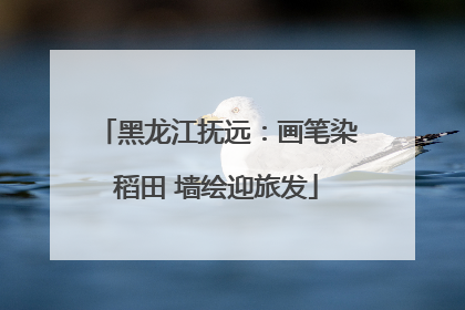 黑龙江抚远：画笔染稻田 墙绘迎旅发