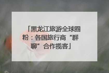 黑龙江旅游全球圈粉：各国旅行商“群聊”合作揽客