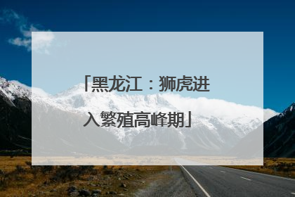 黑龙江：狮虎进入繁殖高峰期