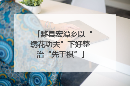 黟县宏潭乡以“绣花功夫”下好整治“先手棋”