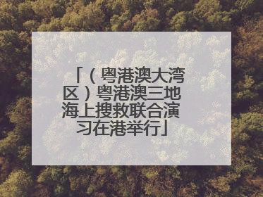 （粤港澳大湾区）粤港澳三地海上搜救联合演习在港举行