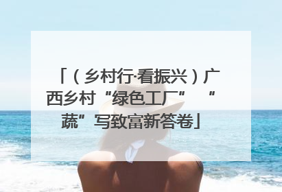 （乡村行·看振兴）广西乡村“绿色工厂” “蔬”写致富新答卷