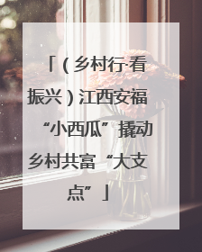 （乡村行·看振兴）江西安福“小西瓜”撬动乡村共富“大支点”