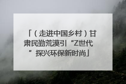 （走进中国乡村）甘肃民勤荒漠引“Z世代”探兴环保新时尚