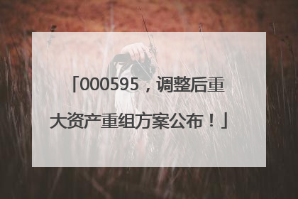 000595，调整后重大资产重组方案公布！