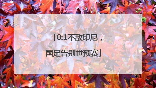 0:1不敌印尼，国足告别世预赛
