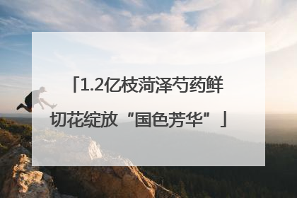 1.2亿枝菏泽芍药鲜切花绽放“国色芳华”