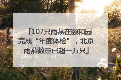 107只雨燕在颐和园完成“年度体检”，北京雨燕数量已超一万只
