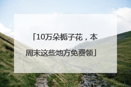 10万朵栀子花，本周末这些地方免费领