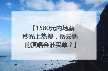 1580元内场票秒光上热搜，岳云鹏的演唱会谁买单？