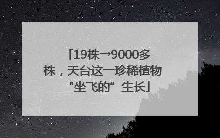 19株→9000多株，天台这一珍稀植物“坐飞的”生长