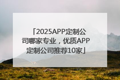 2025APP定制公司哪家专业，优质APP定制公司推荐10家