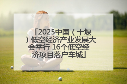 2025中国（十堰）低空经济产业发展大会举行 16个低空经济项目落户车城