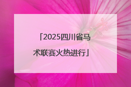 2025四川省马术联赛火热进行