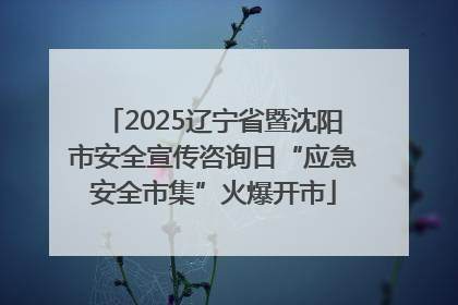 2025辽宁省暨沈阳市安全宣传咨询日“应急安全市集”火爆开市