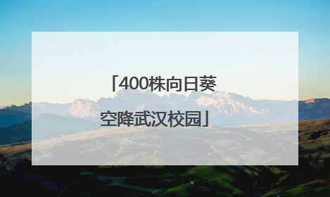 400株向日葵空降武汉校园