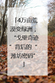 4万亩荒漠变绿洲，“戈壁奇迹”背后的“潍坊密码”