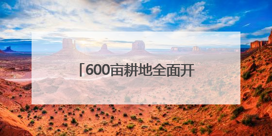 600亩耕地全面开种 成都东部新区东山农场示范园正式亮相