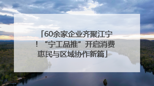 60余家企业齐聚江宁！“宁工品推”开启消费惠民与区域协作新篇