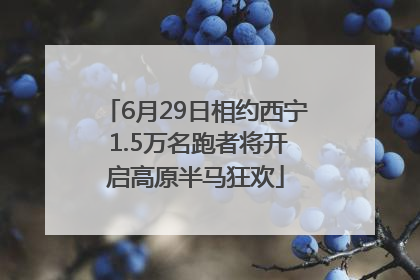 6月29日相约西宁 1.5万名跑者将开启高原半马狂欢