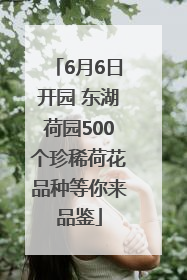 6月6日开园 东湖荷园500个珍稀荷花品种等你来品鉴