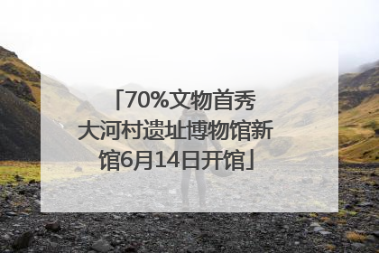 70%文物首秀 大河村遗址博物馆新馆6月14日开馆