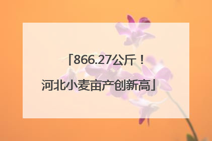 866.27公斤！河北小麦亩产创新高
