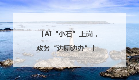 AI“小石”上岗，政务“边聊边办”