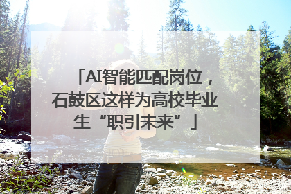 AI智能匹配岗位，石鼓区这样为高校毕业生“职引未来”