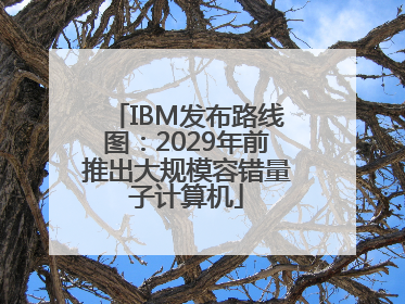 IBM发布路线图：2029年前推出大规模容错量子计算机