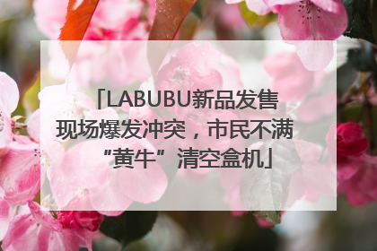 LABUBU新品发售现场爆发冲突，市民不满“黄牛”清空盒机