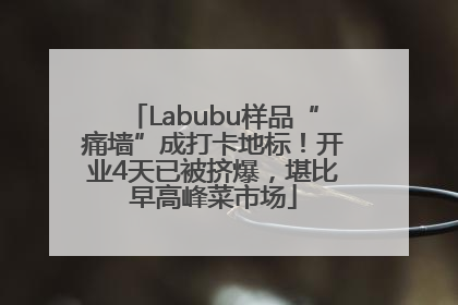 Labubu样品“痛墙”成打卡地标！开业4天已被挤爆，堪比早高峰菜市场